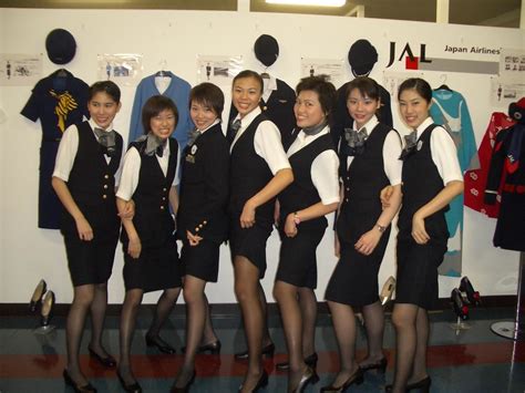 pussy airline|pussy airline Search